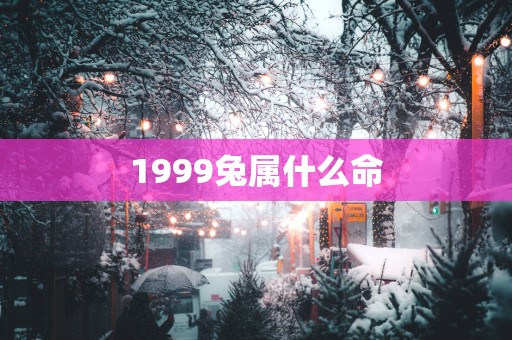 1999兔属什么命