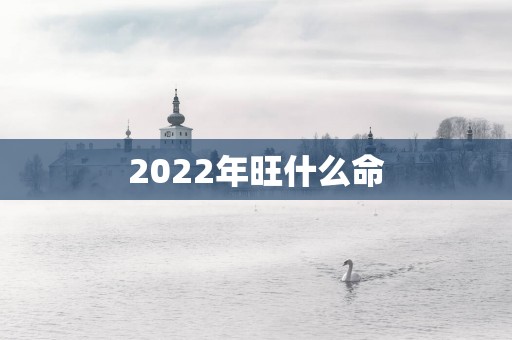 2022年旺什么命