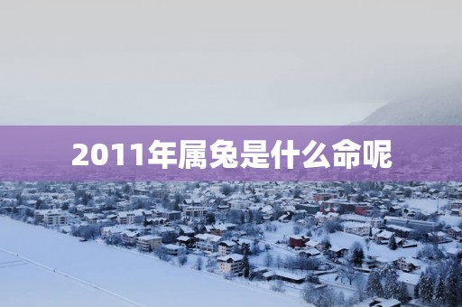 2011年属兔是什么命呢