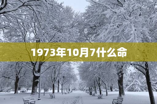 1973年10月7什么命