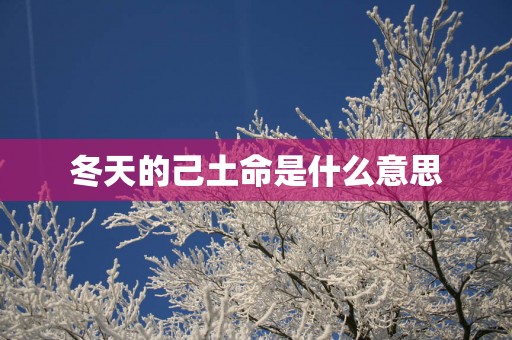 冬天的己土命是什么意思