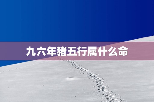 九六年猪五行属什么命