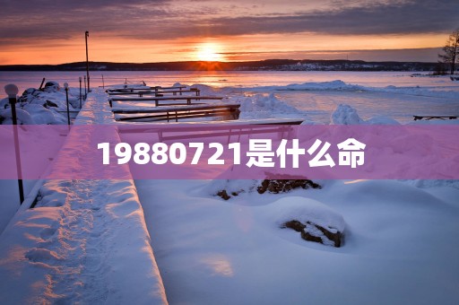 19880721是什么命