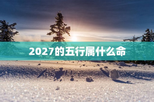 2027的五行属什么命