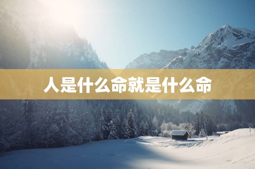 人是什么命就是什么命