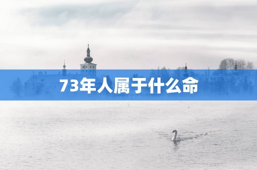 73年人属于什么命