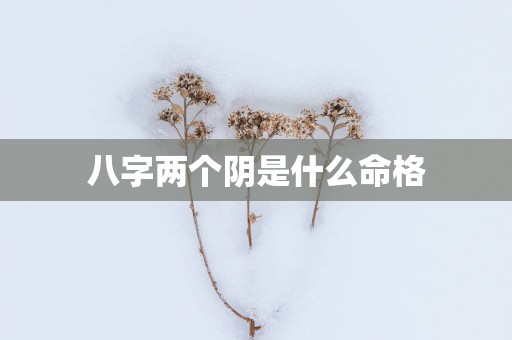八字两个阴是什么命格