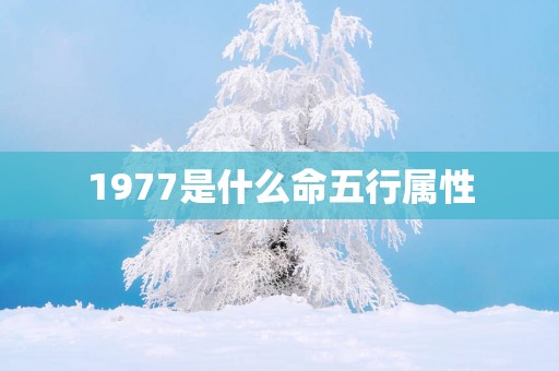 1977是什么命五行属性