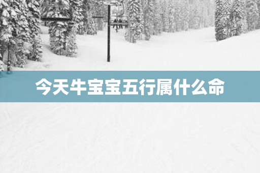 今天牛宝宝五行属什么命