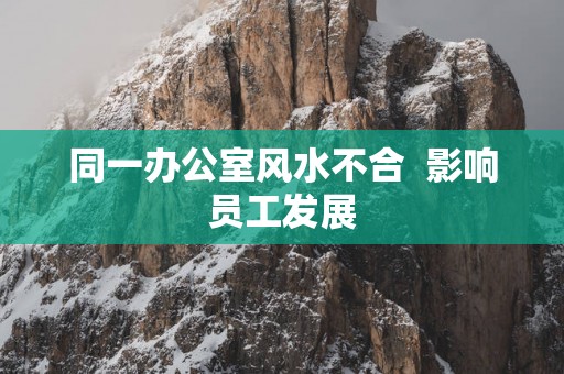 同一办公室风水不合  影响员工发展