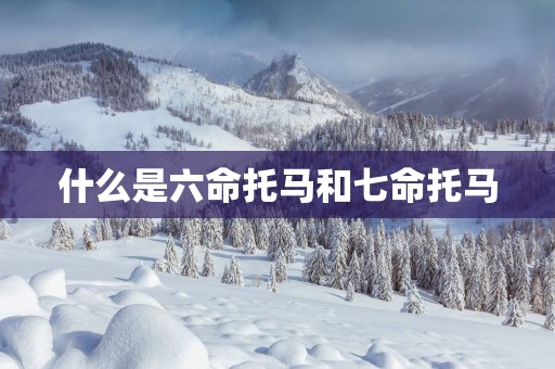 什么是六命托马和七命托马