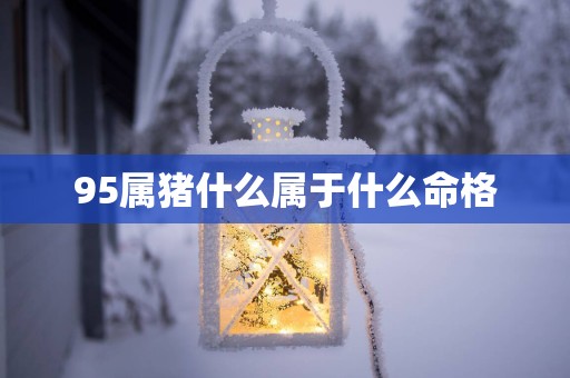 95属猪什么属于什么命格