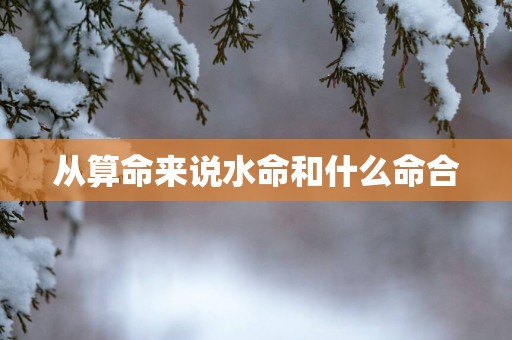 从算命来说水命和什么命合
