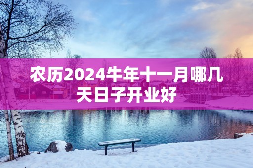农历2025蛇年十一月哪几天日子开业好