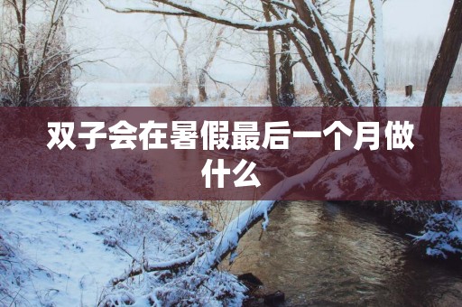 双子会在暑假最后一个月做什么