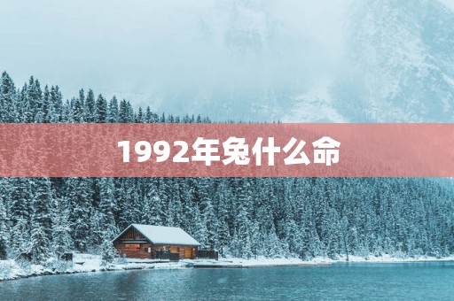 1992年兔什么命