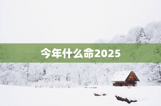 今年什么命2025