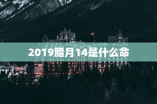 2019腊月14是什么命