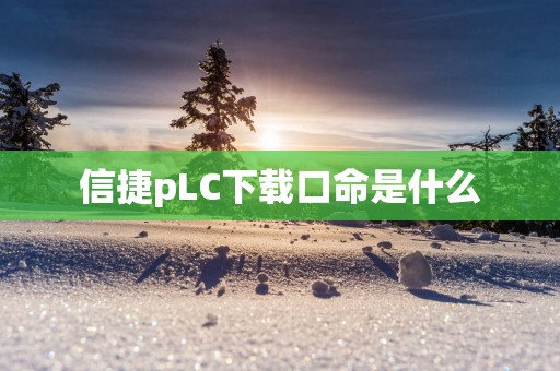 信捷pLC下载口命是什么