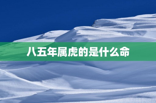 八五年属虎的是什么命