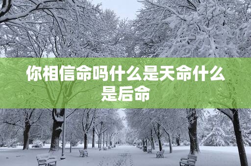 你相信命吗什么是天命什么是后命