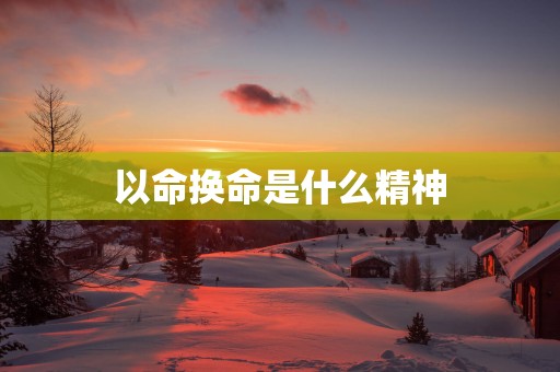 以命换命是什么精神