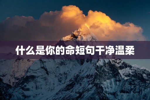 什么是你的命短句干净温柔