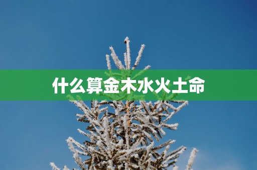 什么算金木水火土命