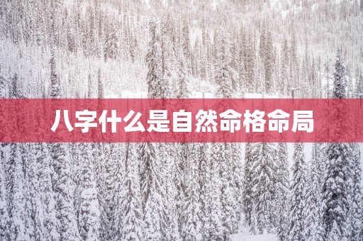 八字什么是自然命格命局