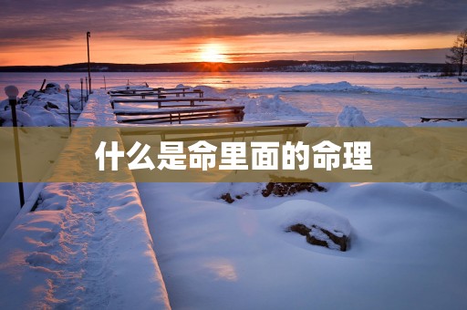 什么是命里面的命理