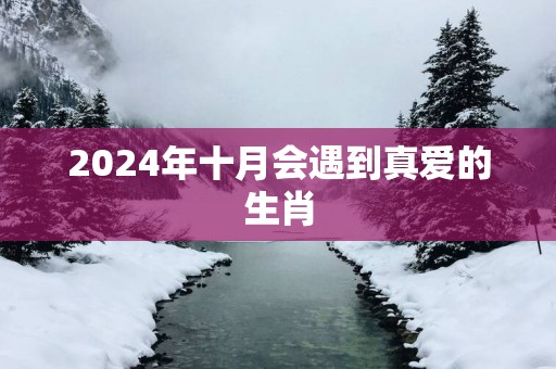 2025年十月会遇到真爱的生肖