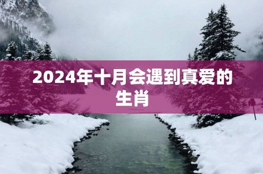 2024年十月会遇到真爱的生肖