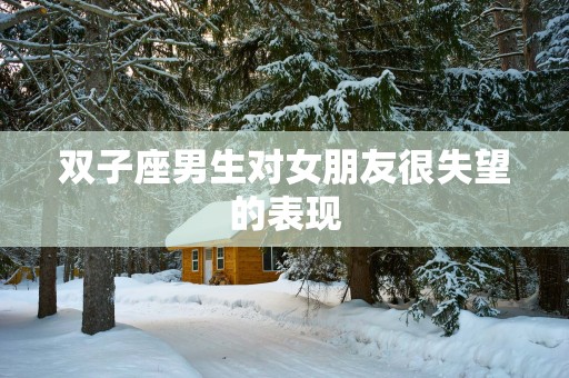 双子座男生对女朋友很失望的表现