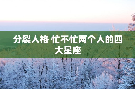 分裂人格 忙不忙两个人的四大星座