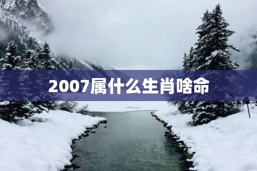 2007属什么生肖啥命