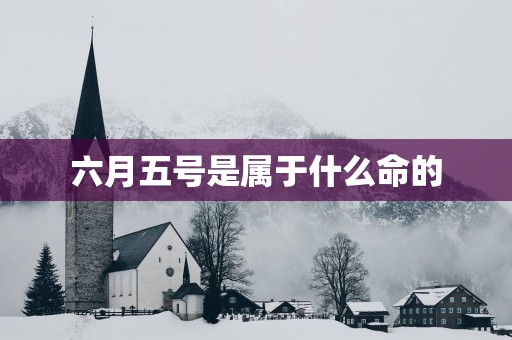六月五号是属于什么命的