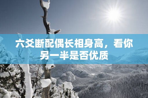 六爻断配偶长相身高，看你另一半是否优质