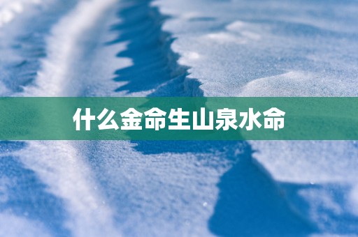 什么金命生山泉水命