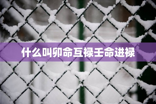 什么叫卯命互禄壬命进禄