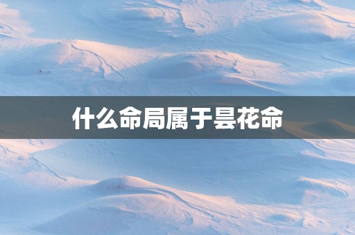 什么命局属于昙花命