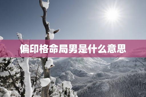 偏印格命局男是什么意思