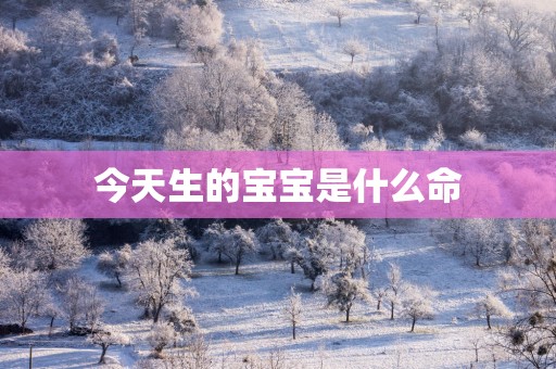 今天生的宝宝是什么命