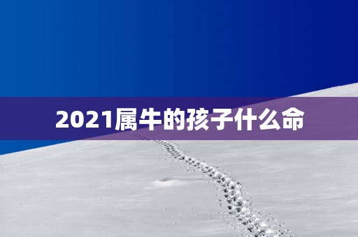2025属牛的孩子什么命