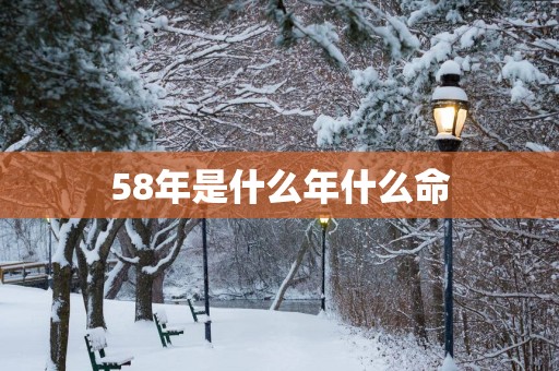 58年是什么年什么命