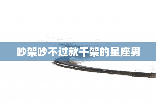 吵架吵不过就干架的星座男