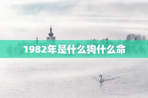 1982年是什么狗什么命 1982年是什么狗什么命