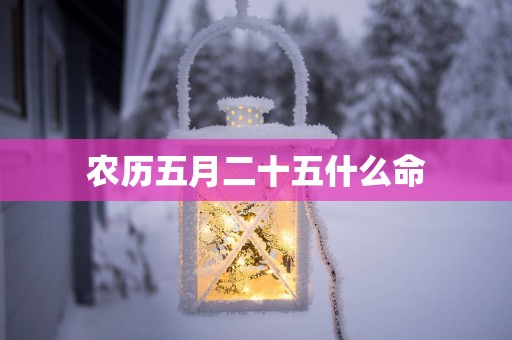 农历五月二十五什么命