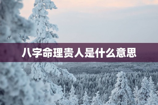 八字命理贵人是什么意思