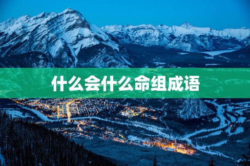 什么会什么命组成语