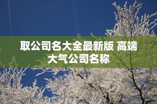 取公司名大全最新版 高端大气公司名称